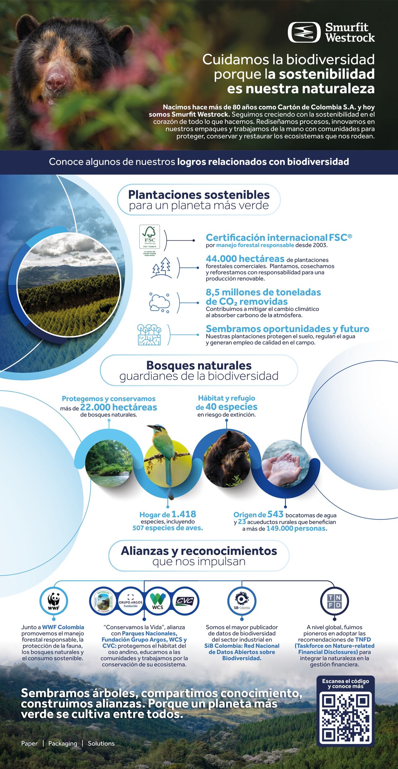 Infografía de Smurfit Westrock Colombia.