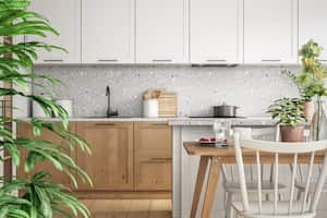 Las plantas pueden ayudar a mantener buena energía dentro del hogar.