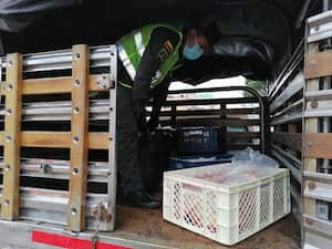 Con los 350 kilos incautados, ya se cuenta más de una tonelada de carne de cerdo y equina.