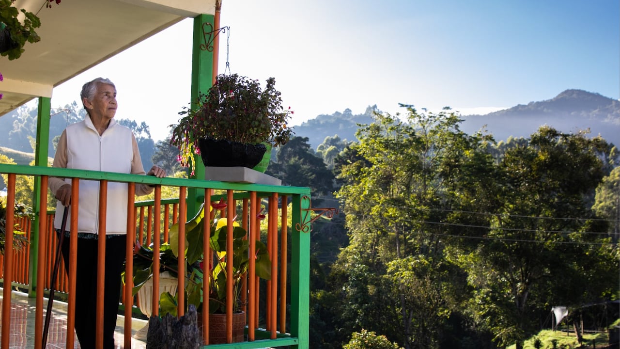 Miradores desde donde podrá observar la belleza de paisaje cafetero.