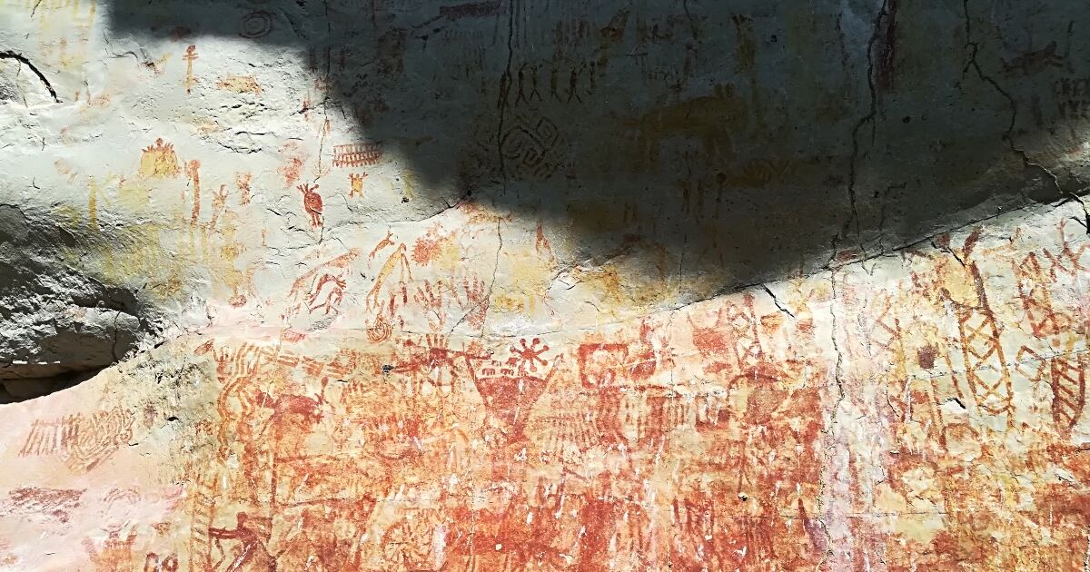 Los primeros grupos humanos usaron de forma selectiva los bosques. Foto: Juan Kosztura.