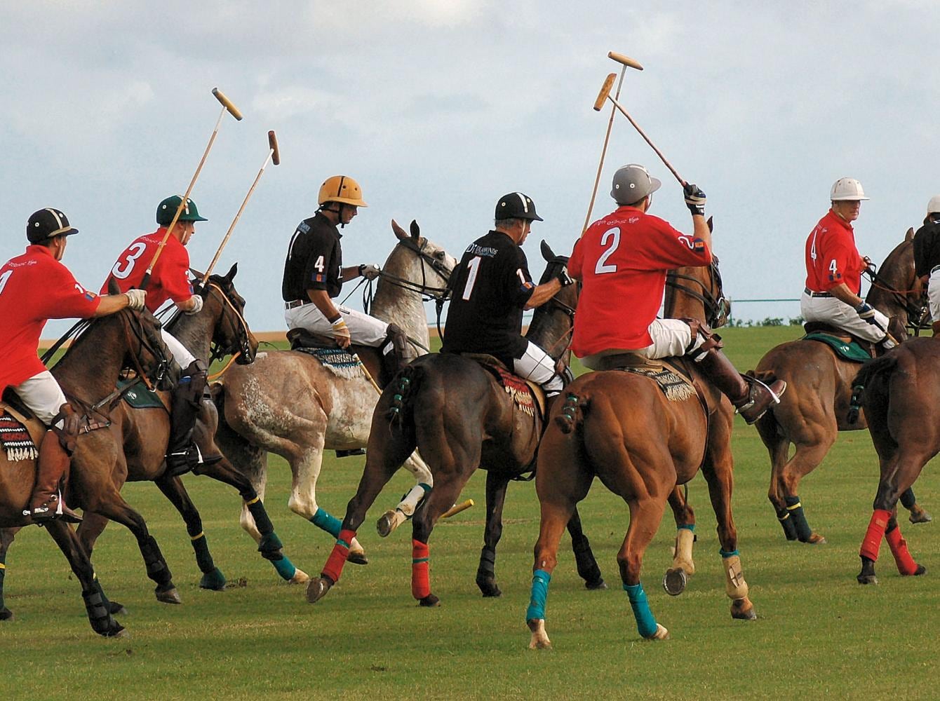 Polo, deporte que se practica con taco, bocha y caballo.