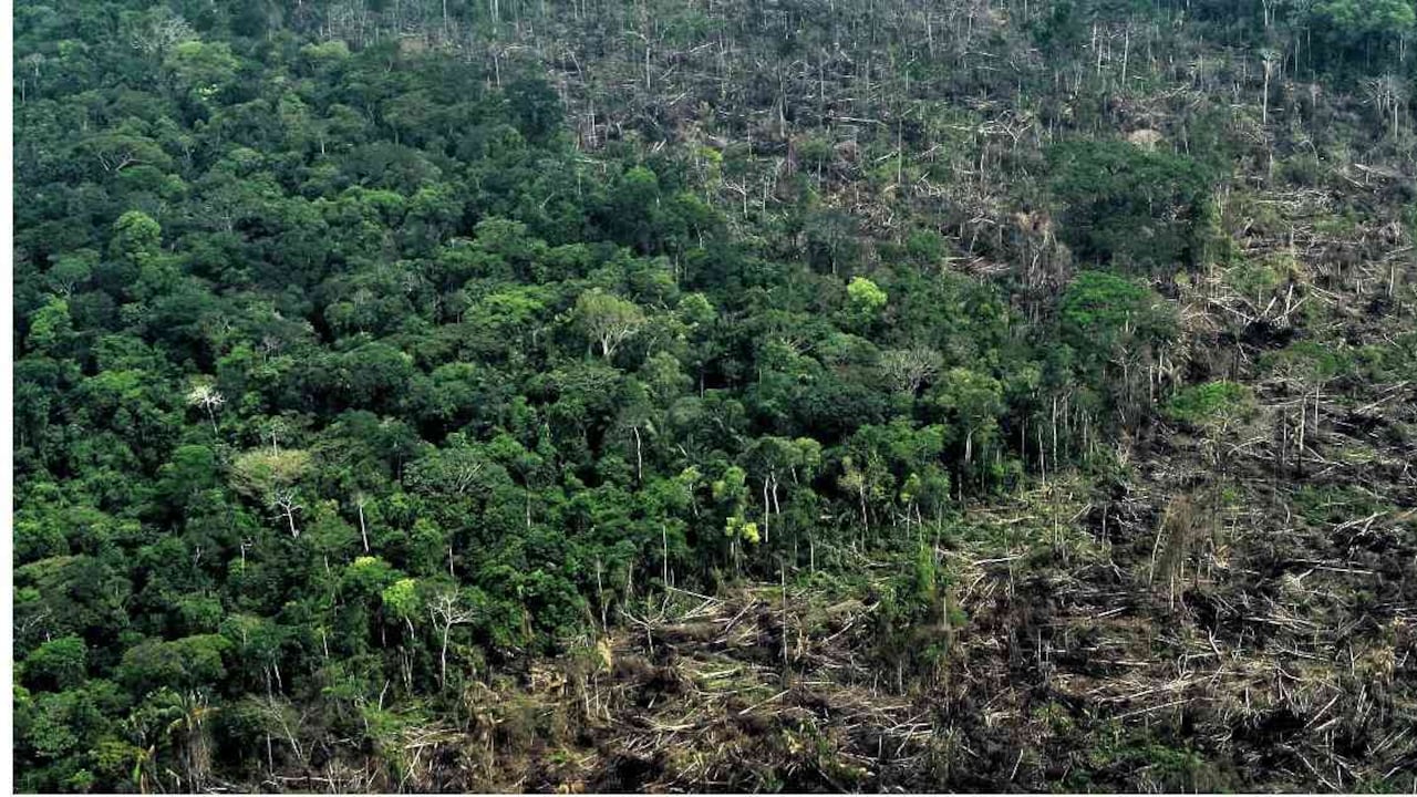 La mayor concentración de pérdida de bosque del 2018 de toda la región amazónica occidental se encuentra ubicada en el noroeste de la Amazonía colombiana. Foto: Fundación para la Conservación y el Desarrollo Sostenible (FCDS).