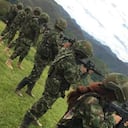 FARC: cómo soldados gringos, así se ve el Frente Carlos Patiño | Colombia hoy