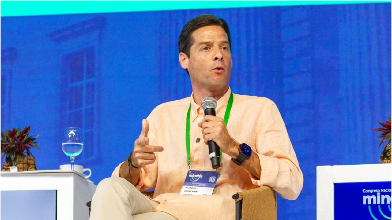 Mauricio Gómez Amín