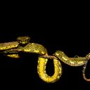 Colombia cuenta con cerca de 319 especies de serpientes, las cuales se encuentran entre los cero y mil metros sobre el nivel del mar. De estas, tan solo 52 podrían ser peligrosas para los seres humanos en caso de un ataque.