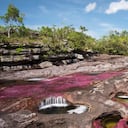 Este año Caño Cristales cerrará su temporada antes de lo esperado por condiciones climáticas.