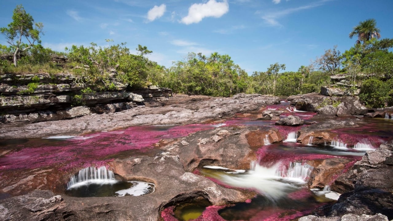Caño Cristales, de nuevo al ruedo de las alternativas del turismo.