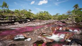 Este año Caño Cristales cerrará su temporada antes de lo esperado por condiciones climáticas.