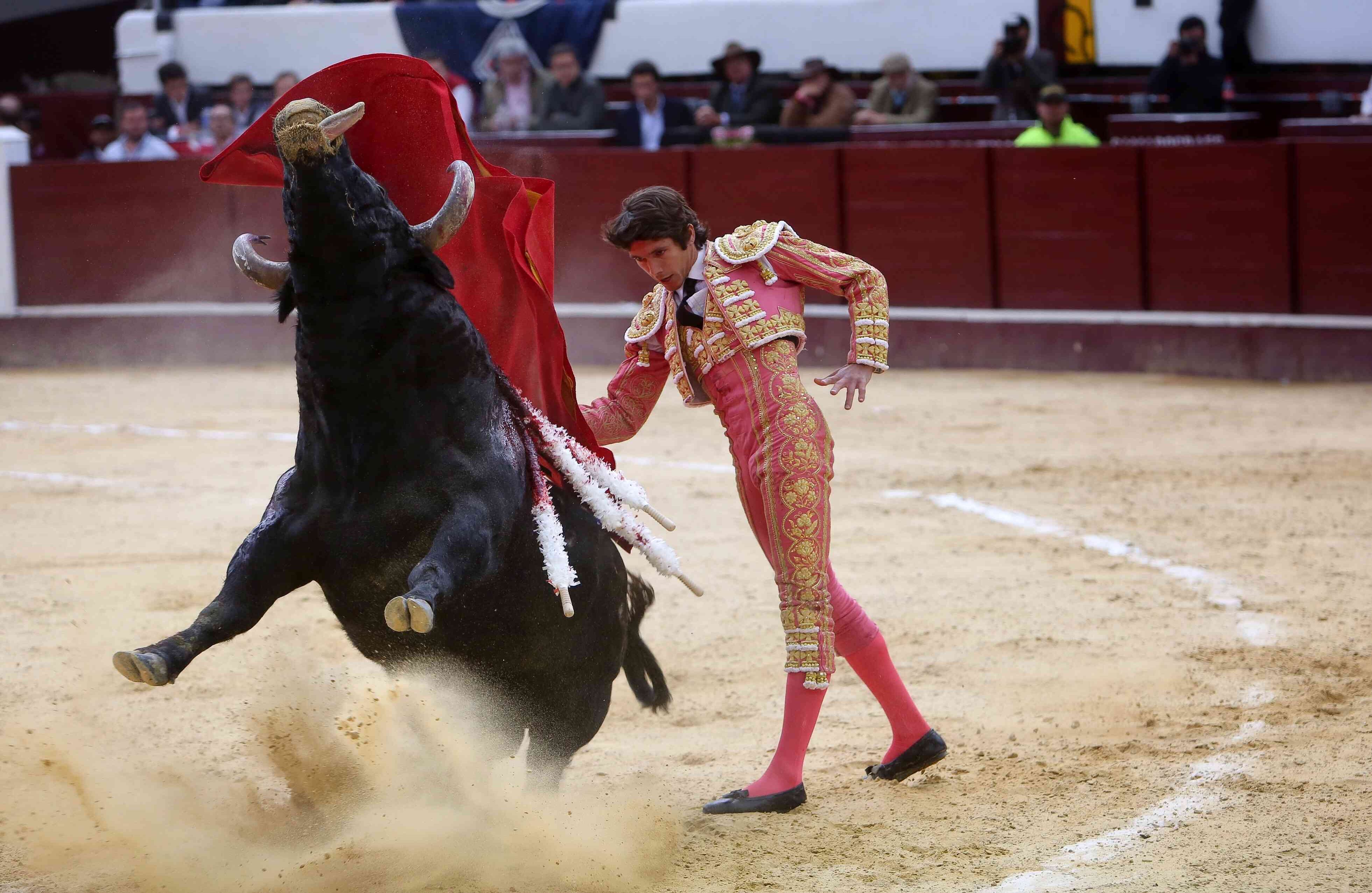 Sebastián Castella, torero francés. (Esteban Vega/SEMANA)