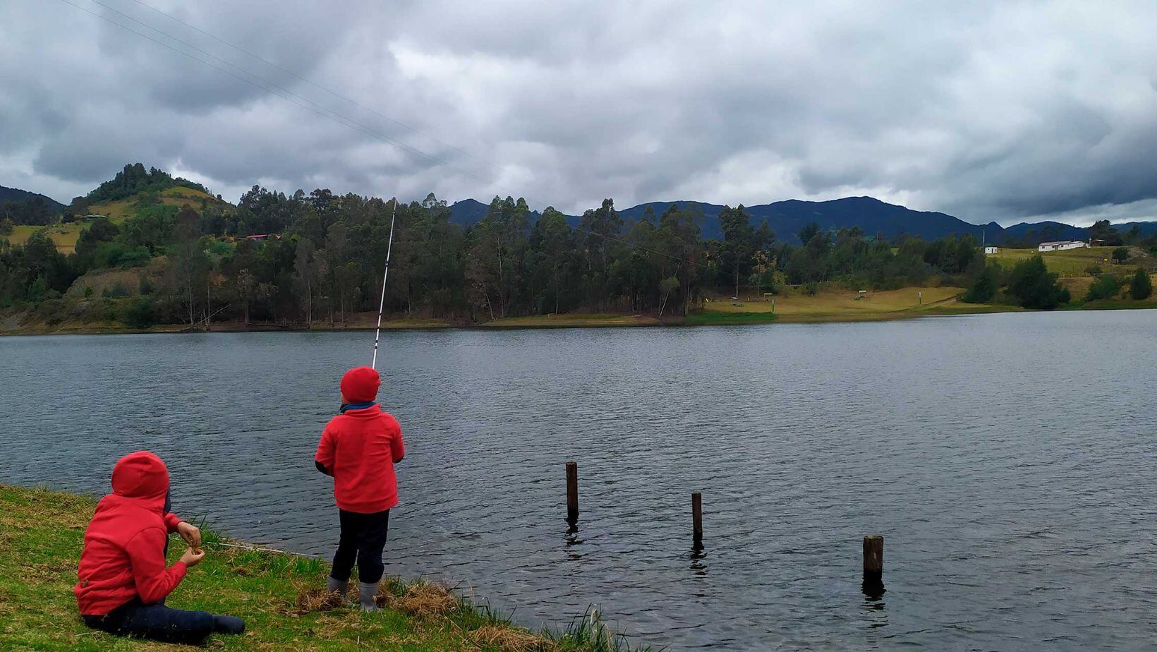 Bioparques para visitar un fin de semana cerca a Bogotá