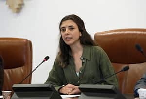 La representante a la Cámara Susana Gómez