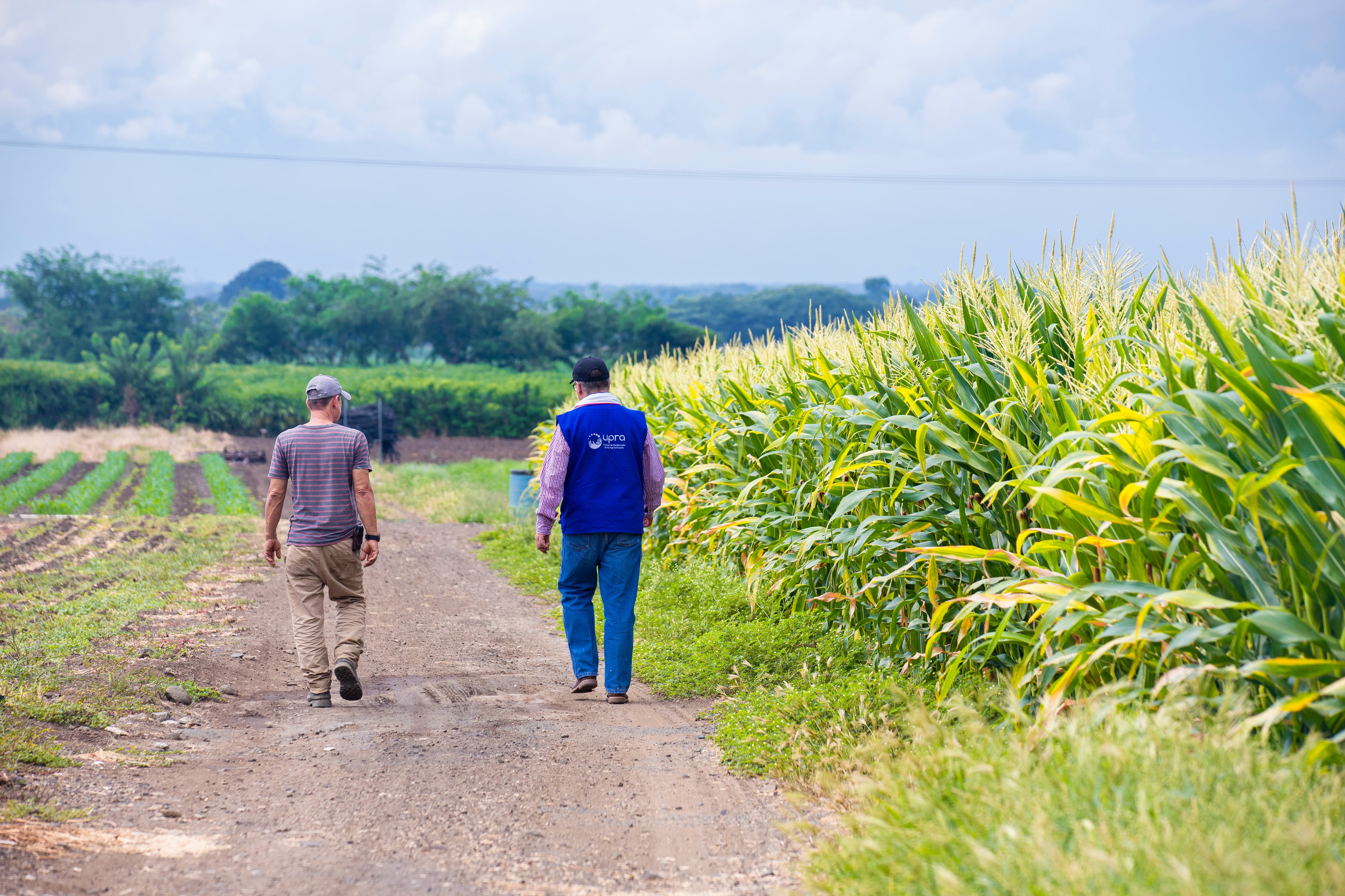 Las exportaciones agropecuarias y agroindustriales colombianas superaron con amplitud las compras externas