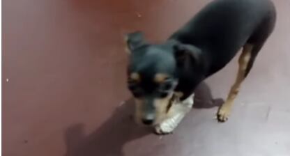 Piden ayuda para poder costear los gastos de la recuperación.