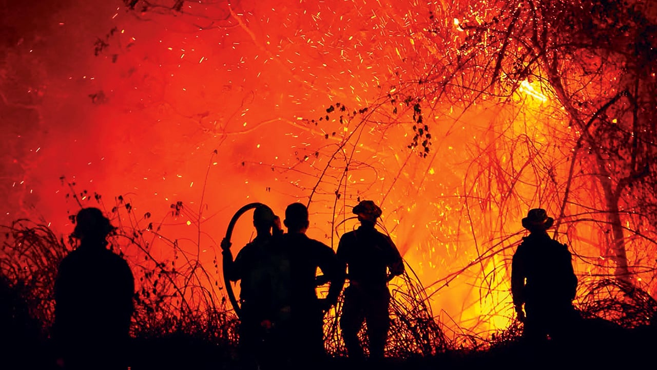 Coello, Suárez y San Luis han sido los municipios más afectados por las llamas. Los incendios se han reactivado varias veces.
