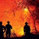 Coello, Suárez y San Luis han sido los municipios más afectados por las llamas. Los incendios se han reactivado varias veces.