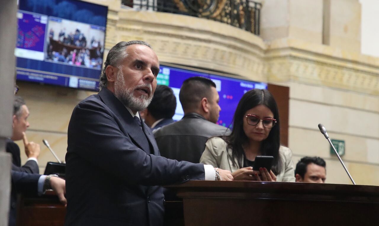 Plenaria de senado, consulta popular