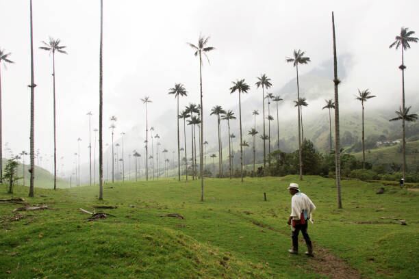 Con liderazgo en innovación, seguridad y sostenibilidad, Manizales alcanzó el primer lugar en el Índice de Ciudades Modernas del DNP