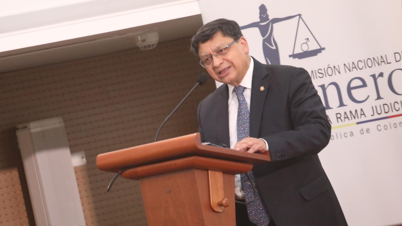 El vicepresidente de la Corte Constitucional, magistrado Jorge Enrique Ibáñez, se refirió a los obstáculos que enfrentan las mujeres en la Rama Judicial.