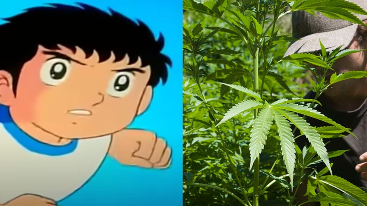 El actor que dio vida a Óliver Atom en Hispanoamérica entregó detalles del nombre del delantero del Niupi.