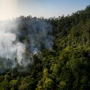 Incendios en la Amazonía