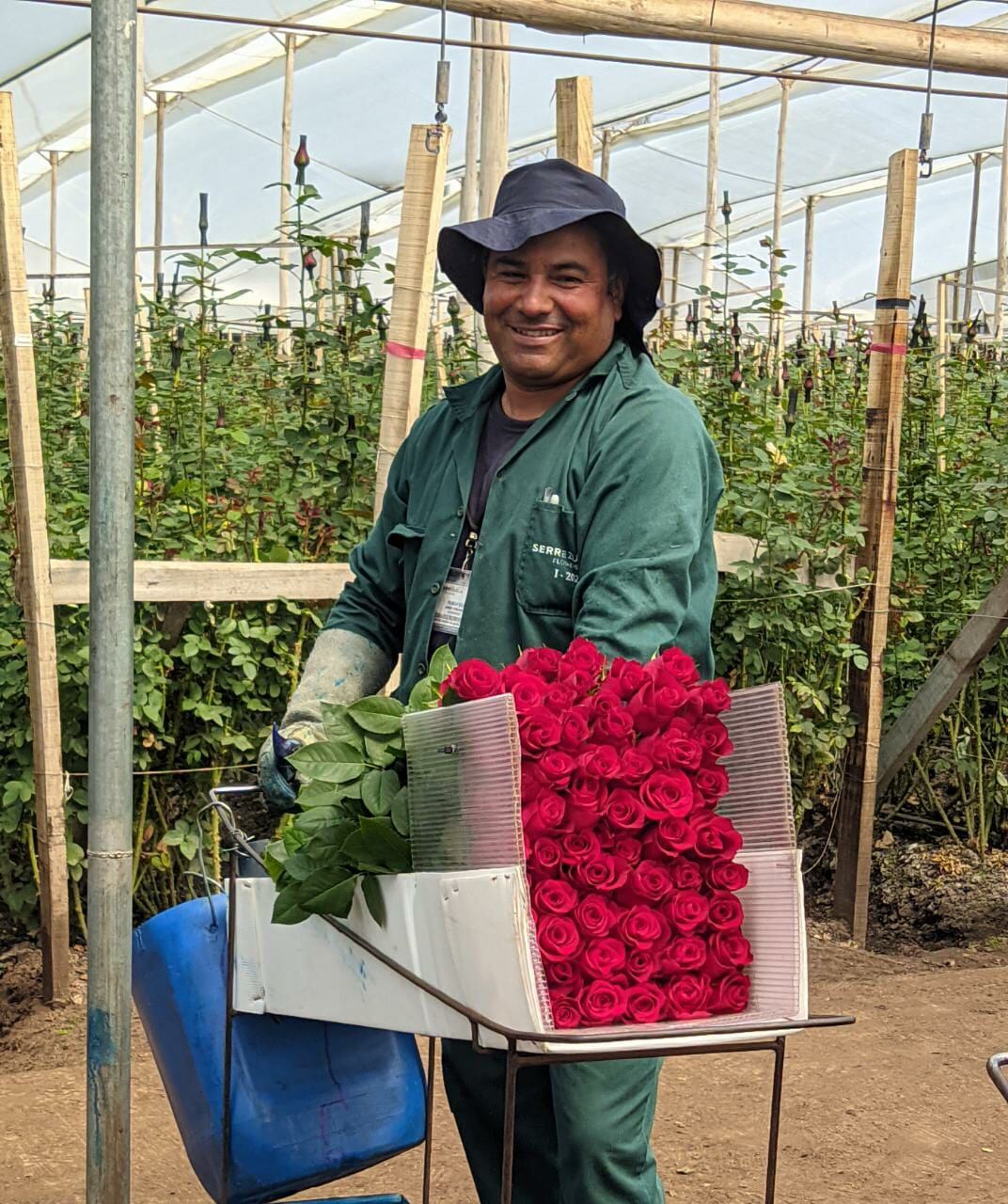 Floricultura en Serrezuela Flowers