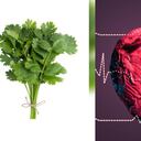 El cilantro y su efecto en el corazón.