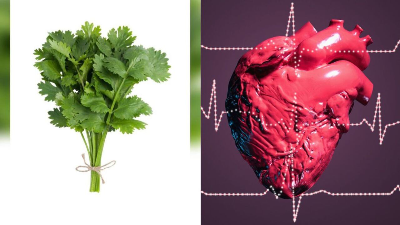 El cilantro y su efecto en el corazón.
