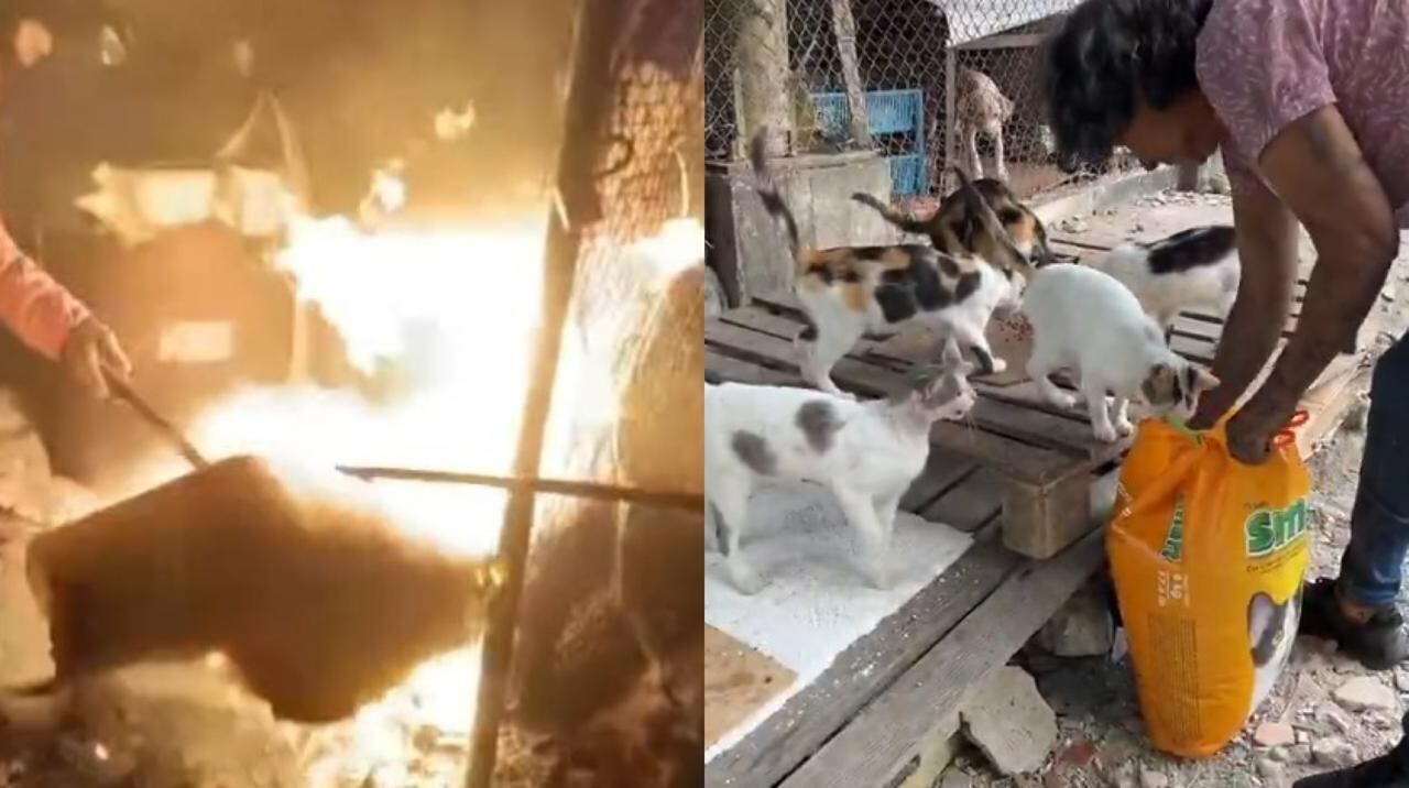 El ataque ocurrió en el puente Napoleón Perea de la transversal 54, en el barrio Los Caracoles