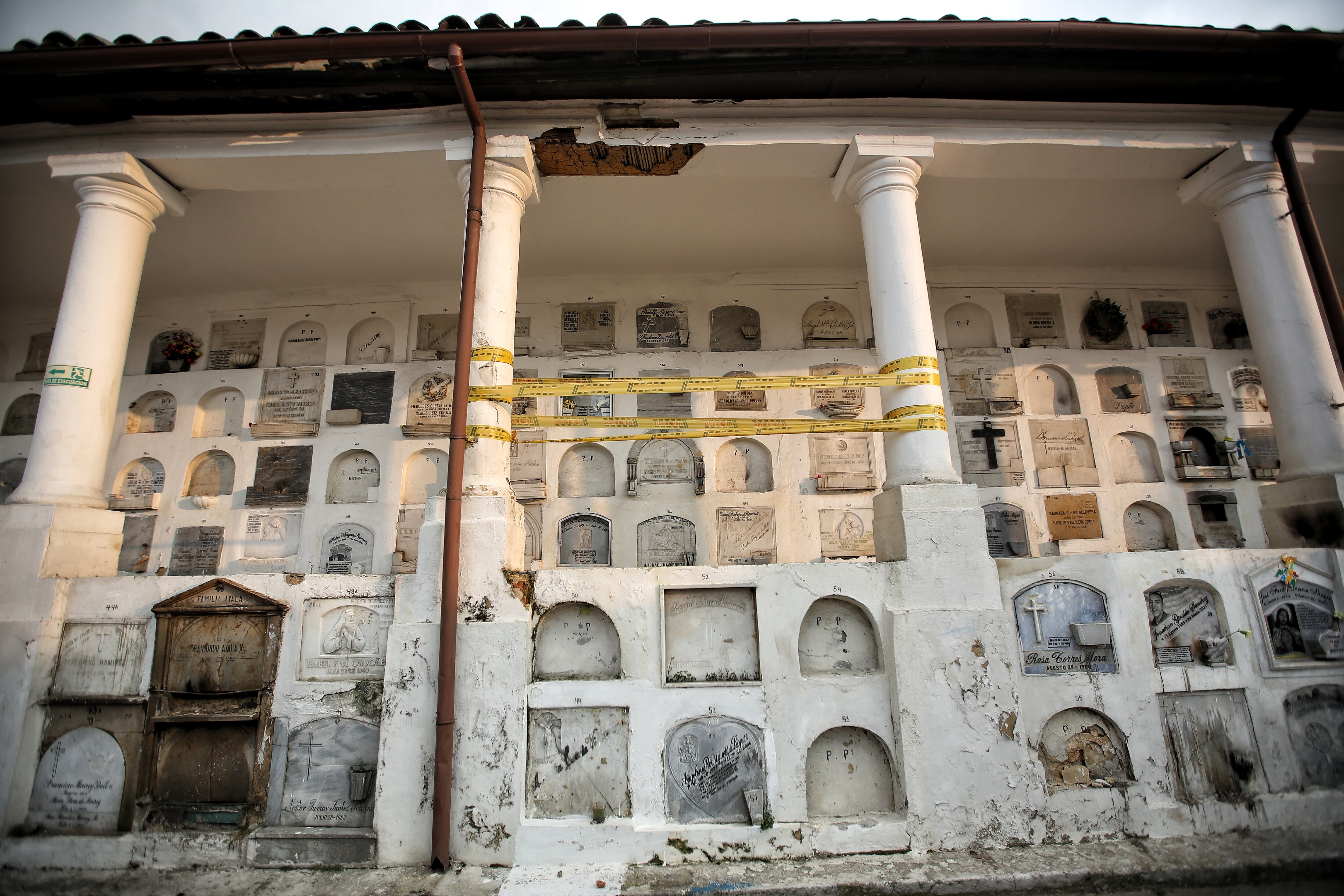 Eder Paradas 
Cementerio Central