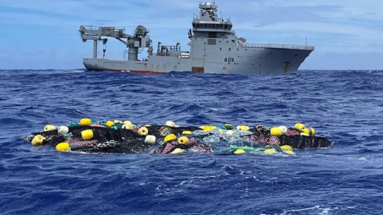 El jefe de la policía neozelandesa, Andrew Coster, afirmó que la droga incautada, contenía 81 paquetes de cocaína, pesaba 3,2 toneladas y tenía un valor en el mercado de cerca de 316 millones de dólares