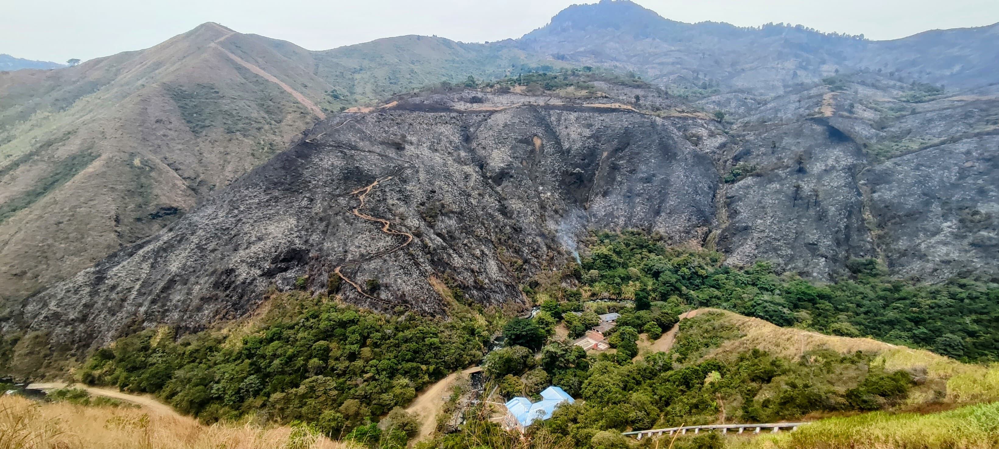 Incendio forestal en barrio Villa del Mar del sector de Terrón Colorado.
