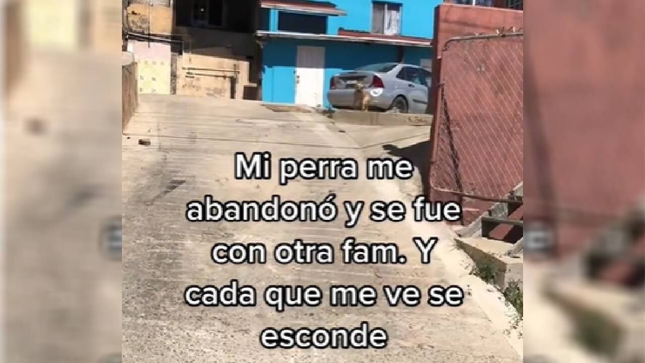 El clip supera las 12 millones de visualizaciones.