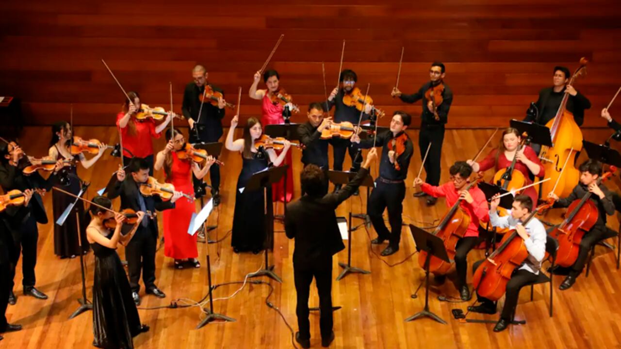 La Orquesta Filarmónica Juvenil de Cámara.
