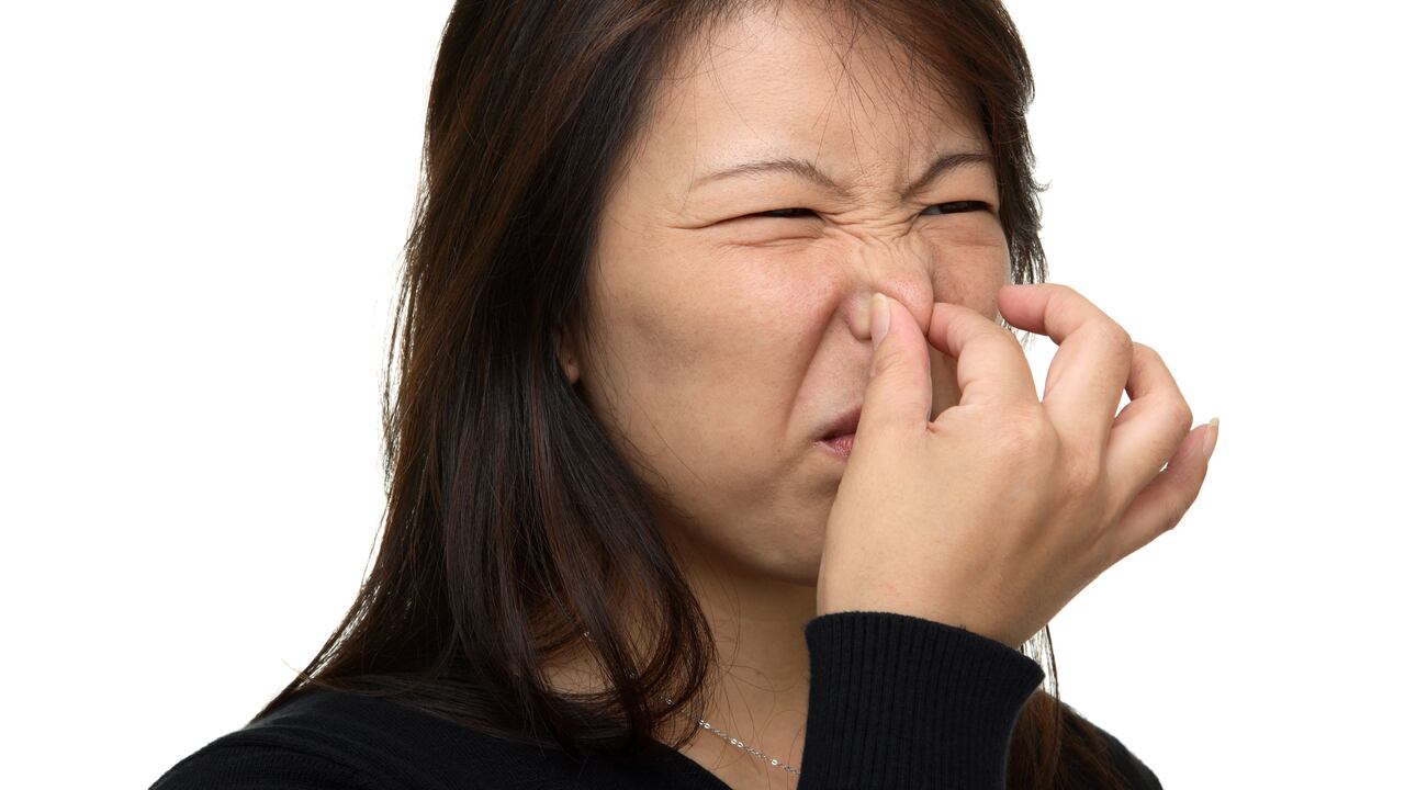 El mal olor en el cuero cabelludo puede ser producto de una mala higiene.