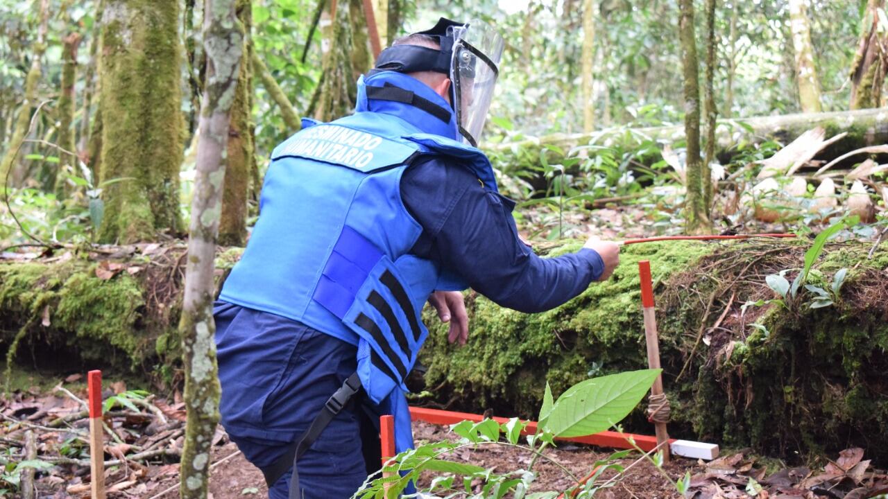 Lo último: Gobierno enviará a 11 militares para capacitar a tropas ucranianas