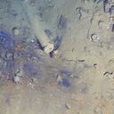 Restos del Galeón San José.