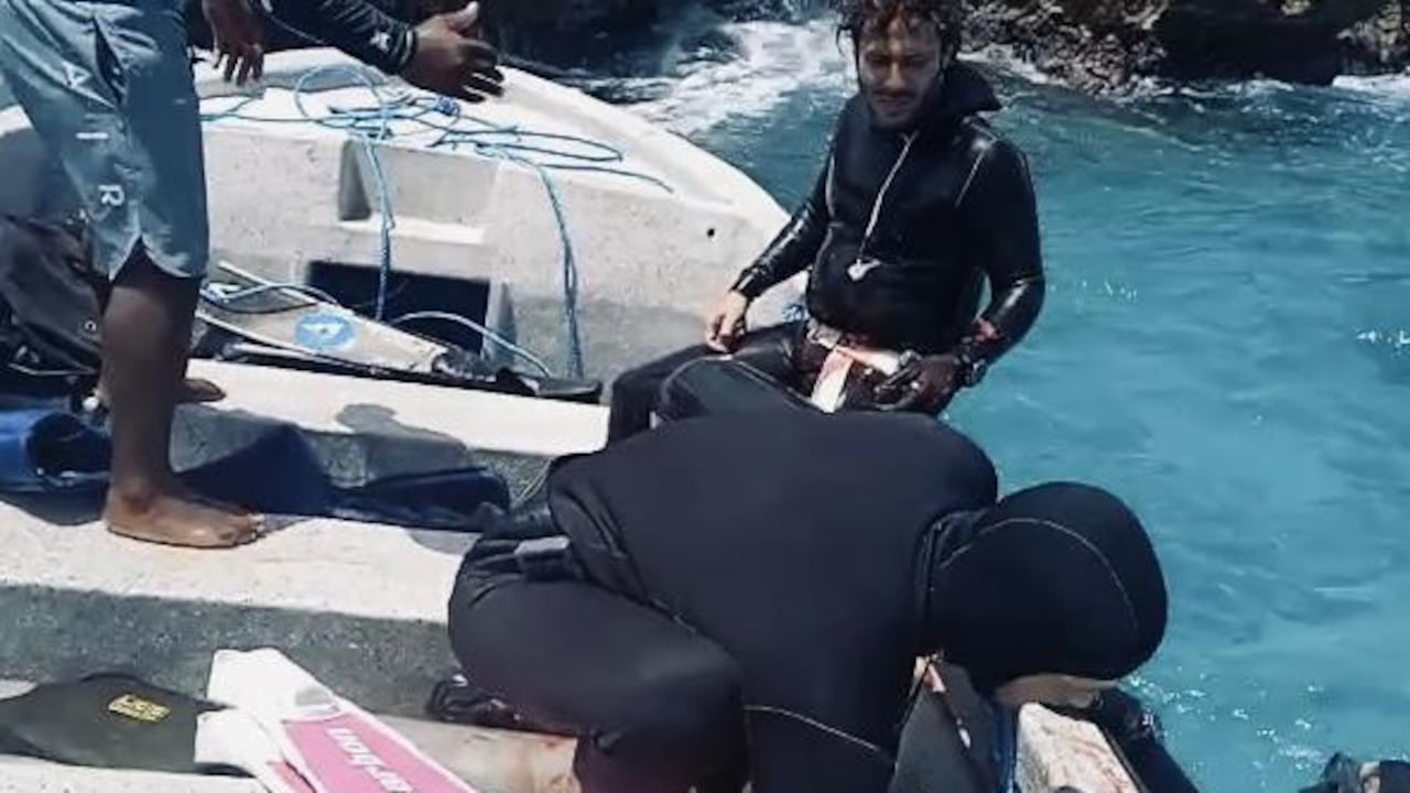 El buzo fue mordido por el animal, y fue auxiliado rápidamente por expertos