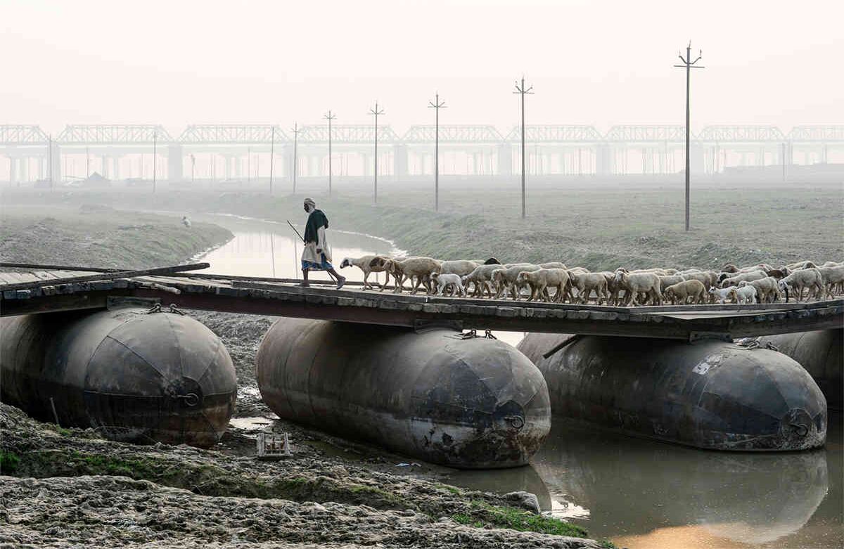 Un pastor conduce un rebaño de ovejas en un puente de pontones en Allahabad, el 26 de noviembre de 2019. (Foto: Sanjay Kanojia / AFP)