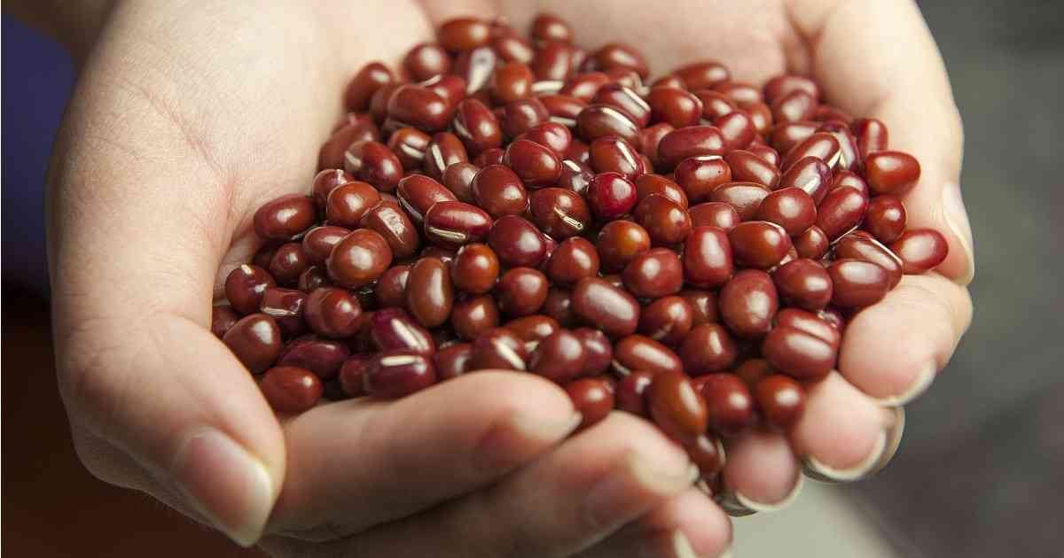 El fríjol: Uno de los alimentos más desfavorecidos por la sequía.