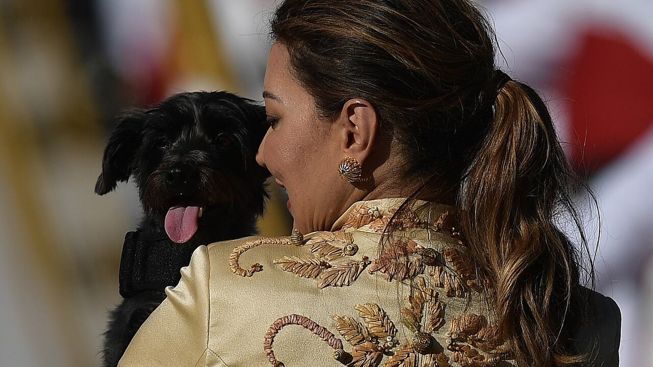 Resistencia es la mascota del presidente de Brasil, Luiz Inacio Lula da Silva.