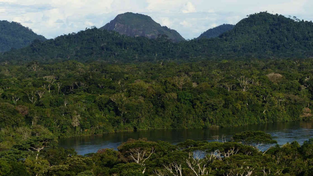 La Amazonia es una de las regiones más ricas en biodiversidad del país. Foto: Archivo Semana
