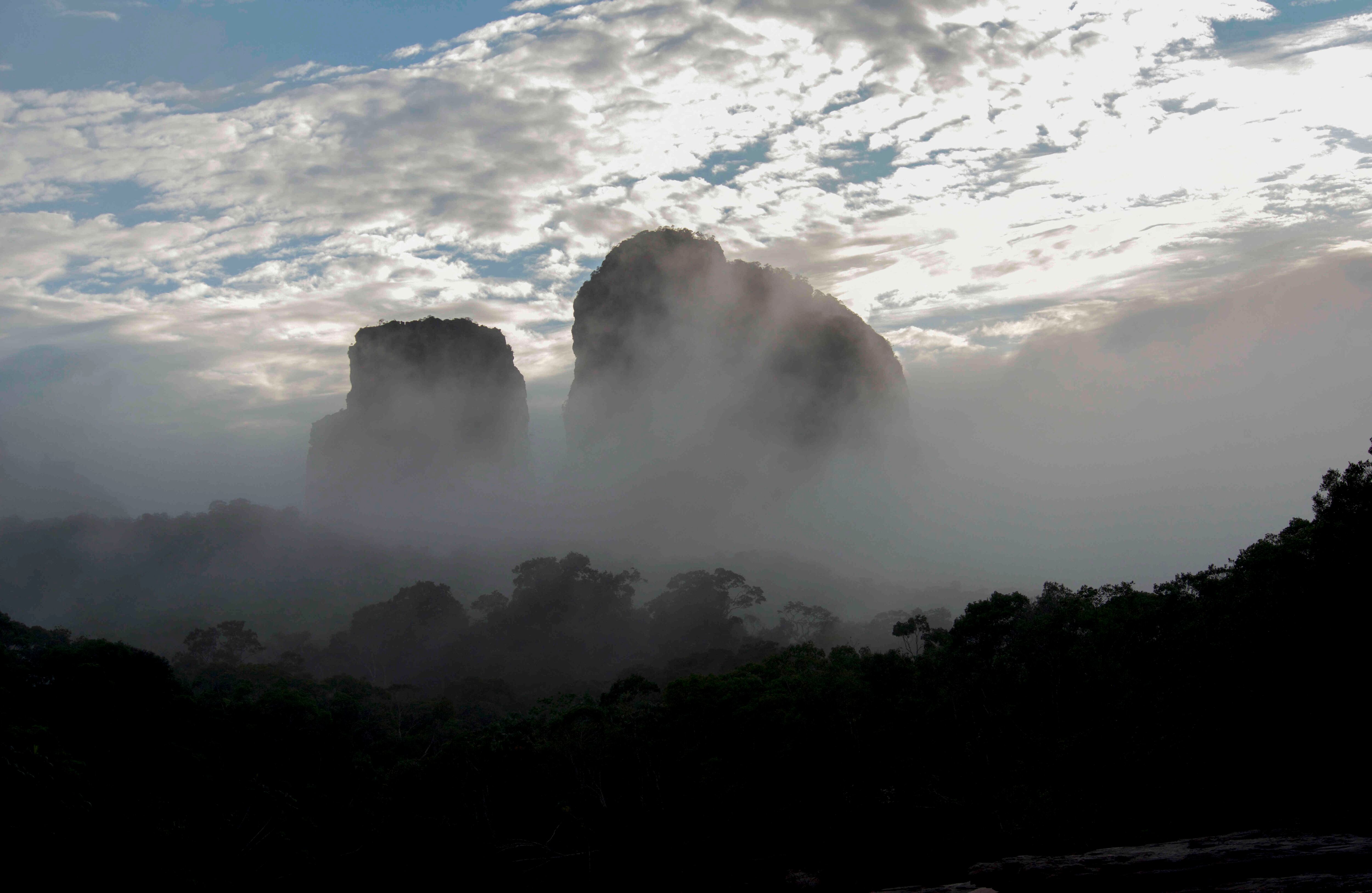 Es una de las formaciones geológicas más antiguas del continente. Sus montañas rocosas tienen más de 1.500 millones de años de antigüedad y alturas que llegan a los 800 metros. Los árboles alcanzan hasta 20 metros. Foto Fernando Trujillo, Fundación Omacha