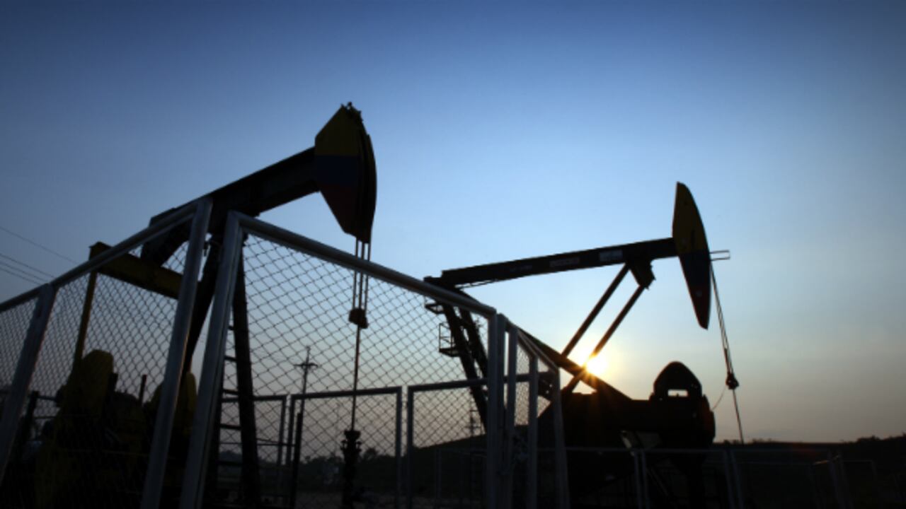 Entre el 2010 y el 2012, se talaron anualmente 1.332 hectáreas de bosque nativo en Casanare.