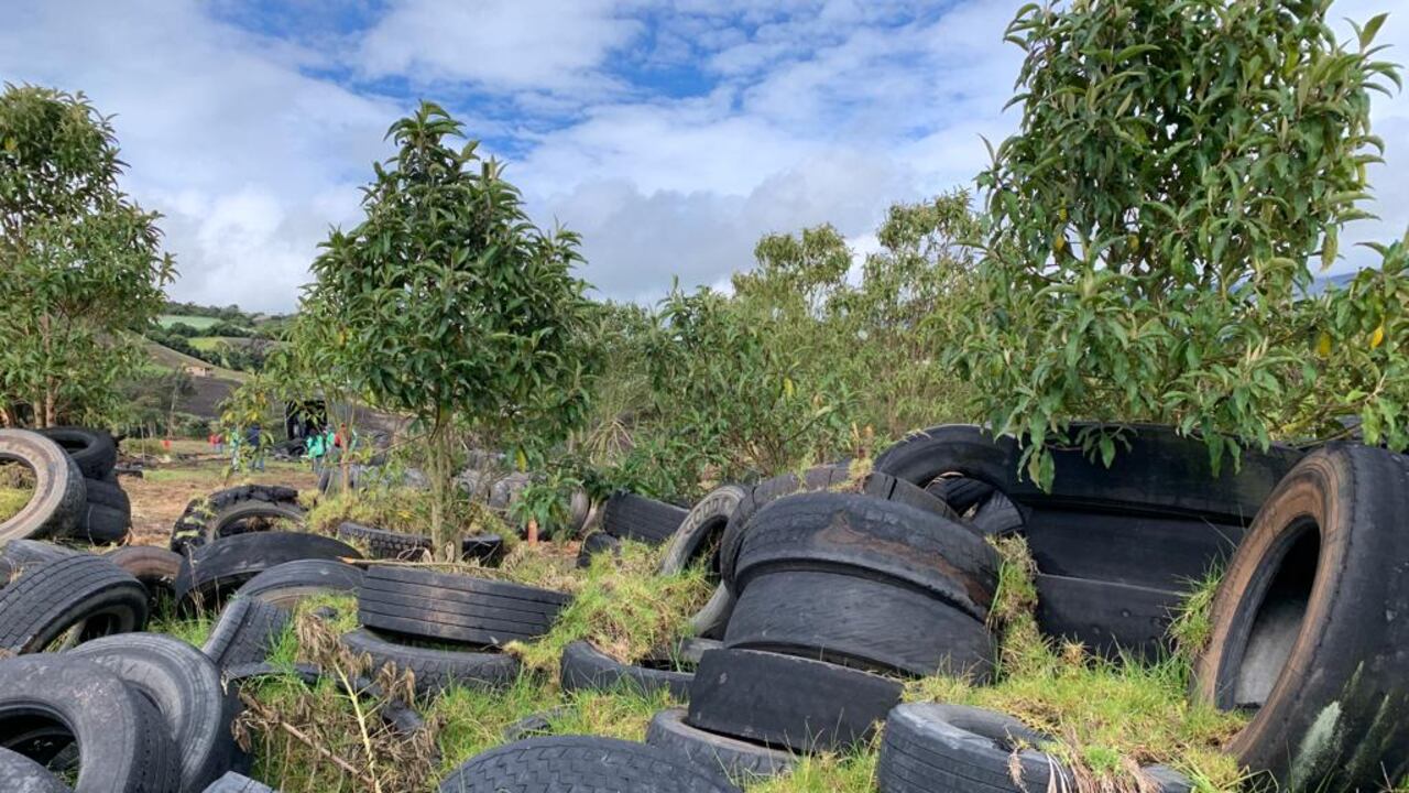 Durante 2022, la UAESP ha recuperado y reintegrado cada día a la economía circular más de 16 mil llantas que son abandonadas en el espacio público.