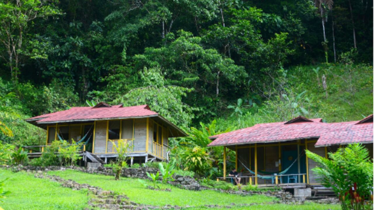 Un total de 41 mayoristas se darán cita el próximo jueves y viernes en Medellín para participar en la rueda de negocios "Colombia Nature Travel Mart