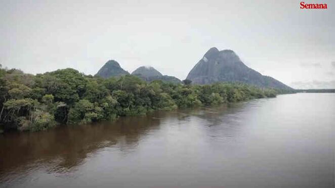 La estrella fluvial de Inirida: la amenaza del oro