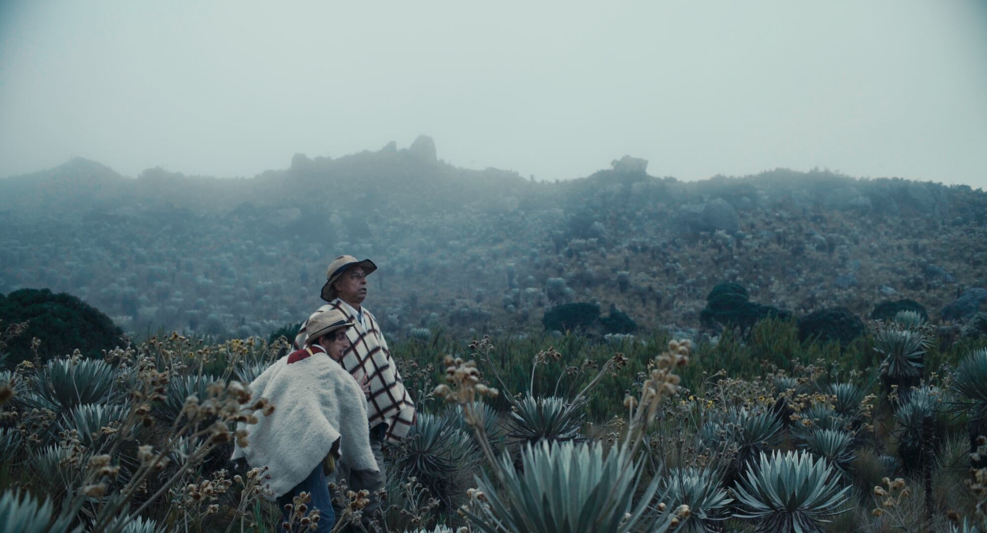 'Entre la niebla' de Augusto Sandino.