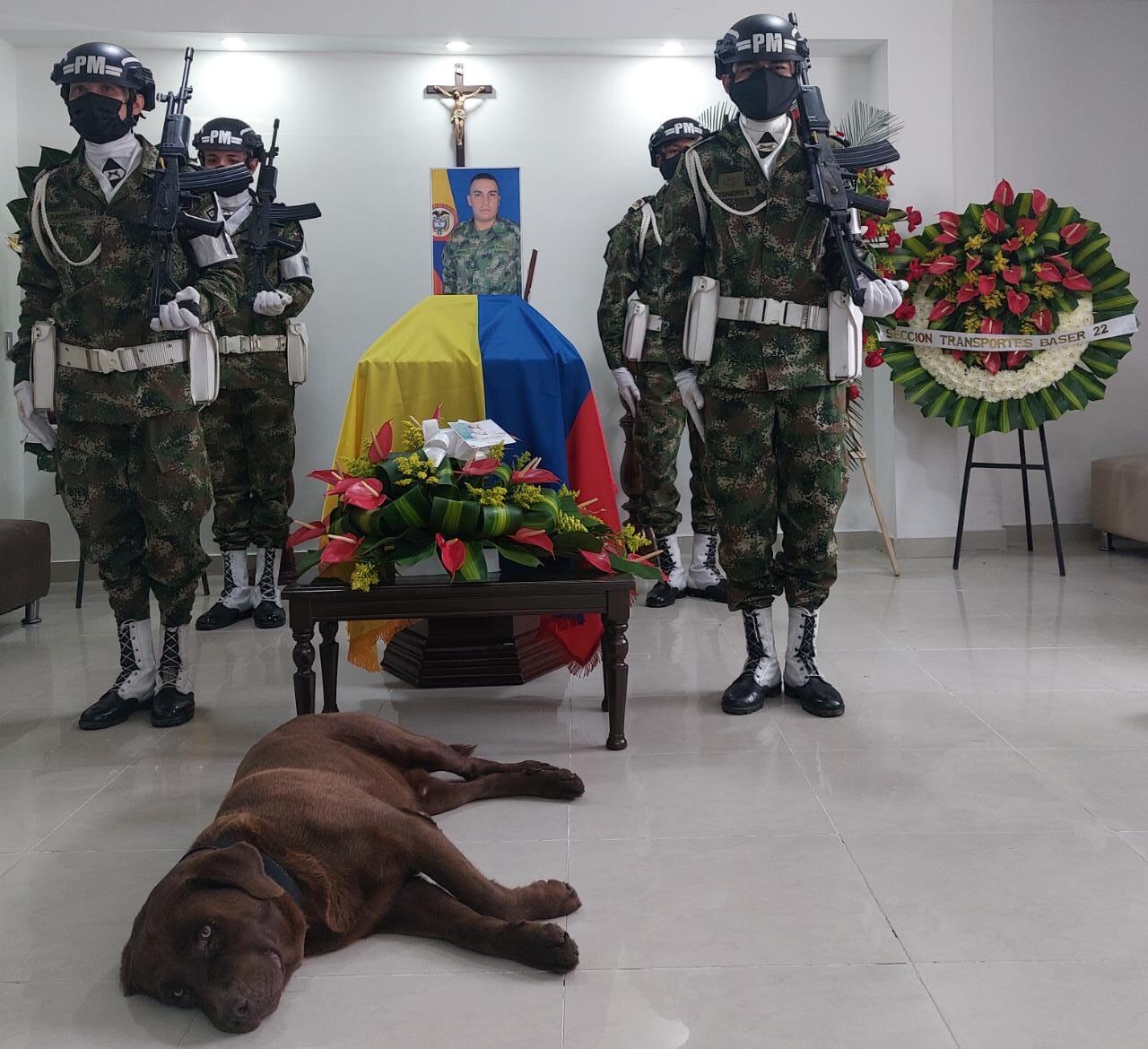Perro militar acompañó a soldado hasta el cementerio