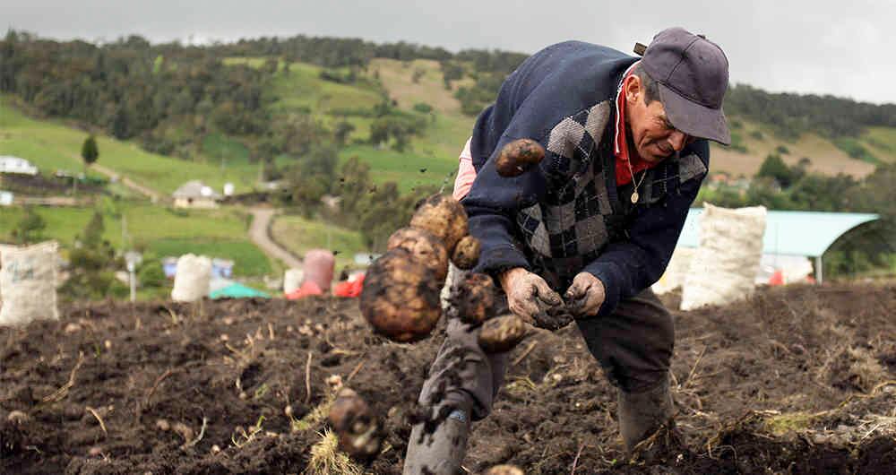 La reforma rural es una de las prioridades del Gobierno.
